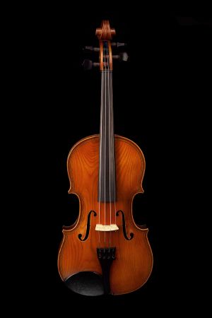 2.Aust Timbers Violinm.jpg